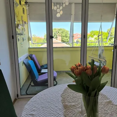 Apartment Chill Zadar